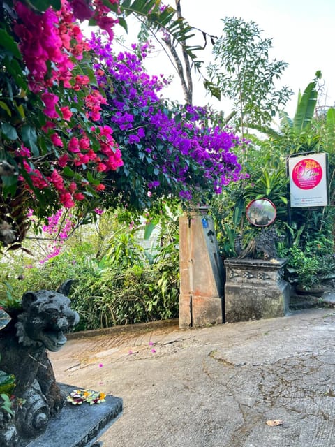 D'Rus Hill munduk Bed and Breakfast in Bali