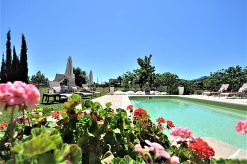 Garden, Pool view, Swimming pool, Swimming pool