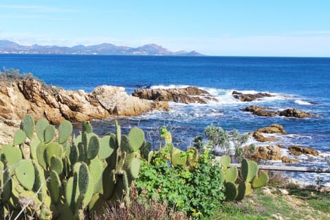 LA FINCKA 284 Villa in Roquebrune-sur-Argens