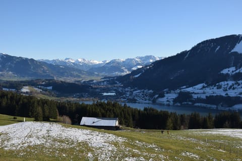 Mountain view