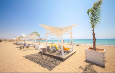 Beach, Sea view, sunbed