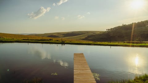 Fishing, Lake view