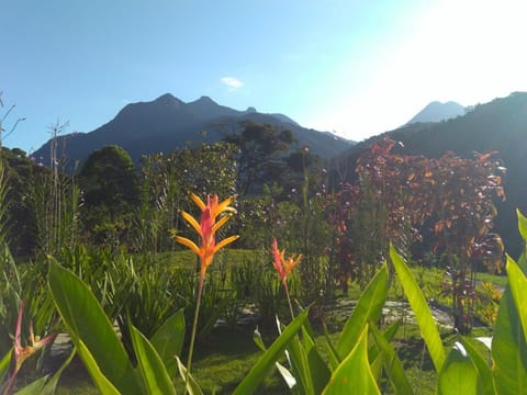 Flats Refugio da Mata Apartment in State of Rio de Janeiro