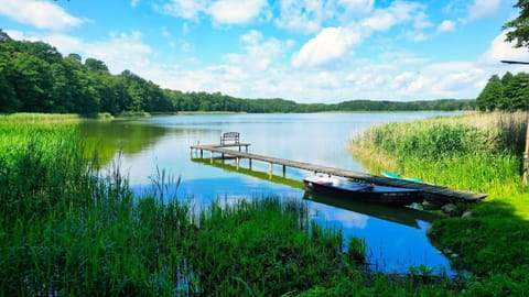 Lake view