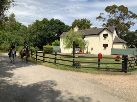 The Willows - Charming Railway Woodland Cottage with Log Burner House in Christchurch