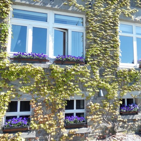 Gite ancienne Imprimerie House in Wallonia, Belgium