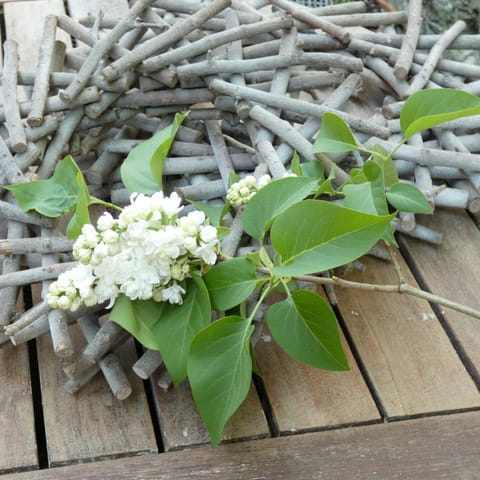 Gite ancienne Imprimerie House in Wallonia, Belgium