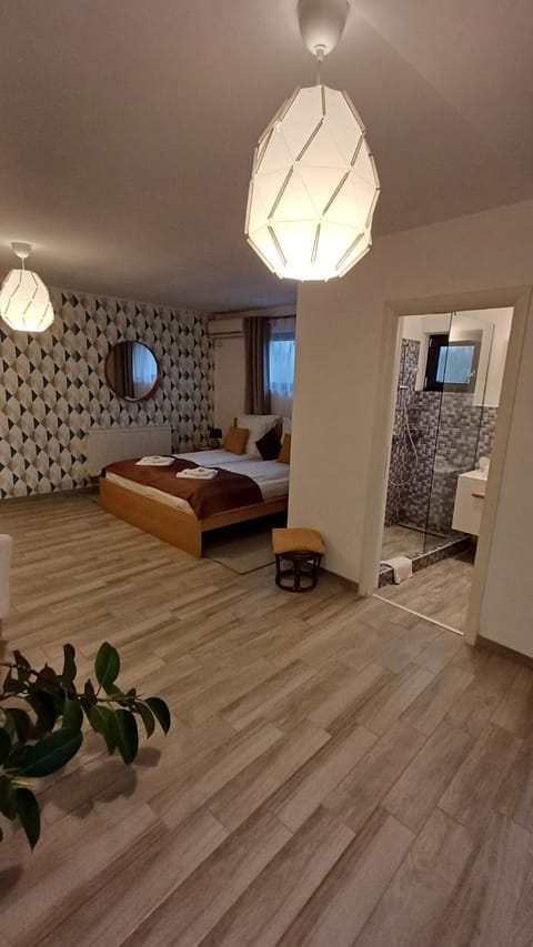 Neferprod Apartments - IS - CAM 05 Apartment in Timisoara