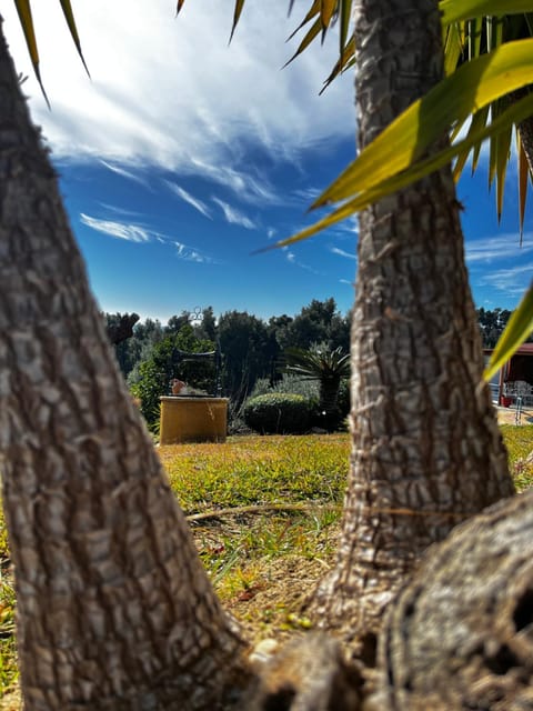 Natural landscape, Garden, Garden view