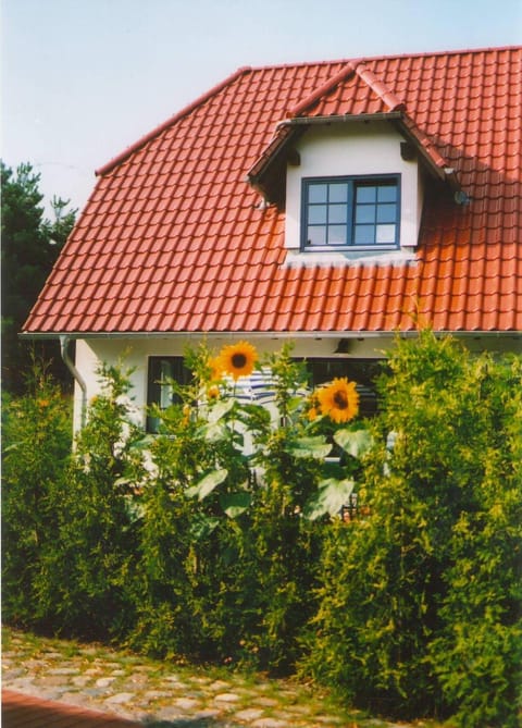 Lindenstr_32b Apartment in Zingst