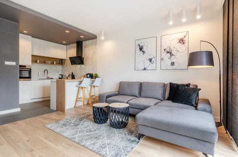 Kitchen or kitchenette, Living room, Seating area, Dining area