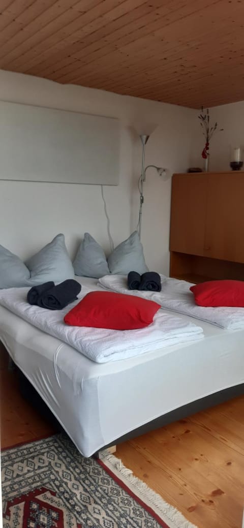 Appartement Ingrid Apartment in Bregenz