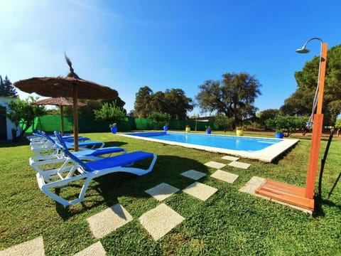 Garden, Swimming pool