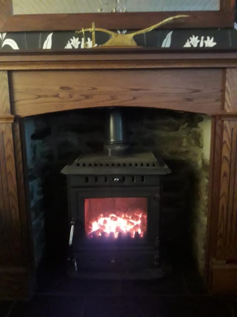 Living room, fireplace