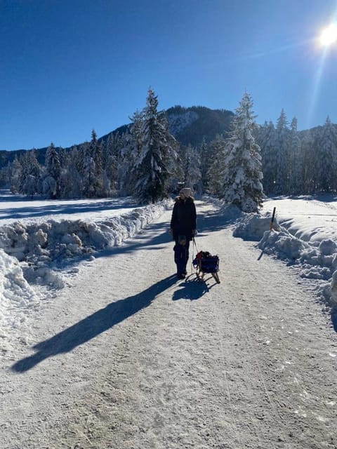 Apartments Edelweiß & Enzian - Gästehaus zum Fuchs Apartment in Friuli-Venezia Giulia