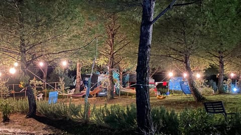 Spring, Night, Natural landscape, Winter, Summer, View (from property/room), Other, Autumn, On site, Seasons, Time of day