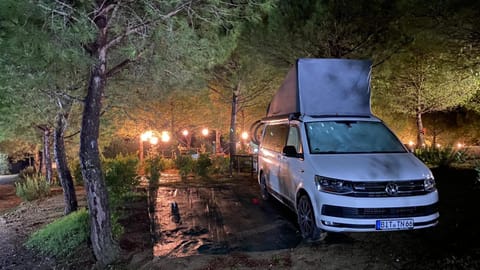 Spring, Day, Night, Natural landscape, Winter, Summer, Autumn, On site, Seasons, Time of day