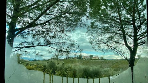 Day, Winter, Summer, View (from property/room), Autumn, On site, Seasons, Time of day