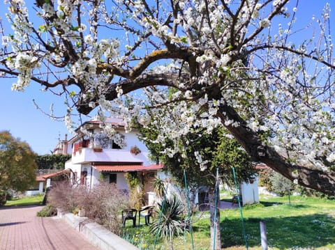 Property building, Spring, Garden