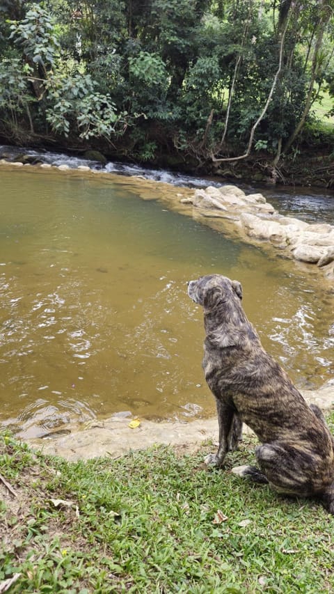 Pousada Fronteira Inn in State of Rio de Janeiro