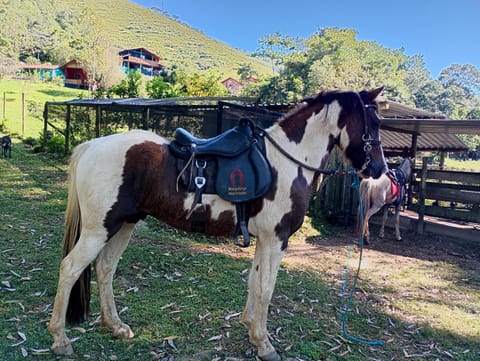 Pousada Fronteira Inn in State of Rio de Janeiro