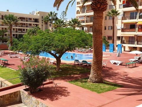 Garden, Pool view, Swimming pool