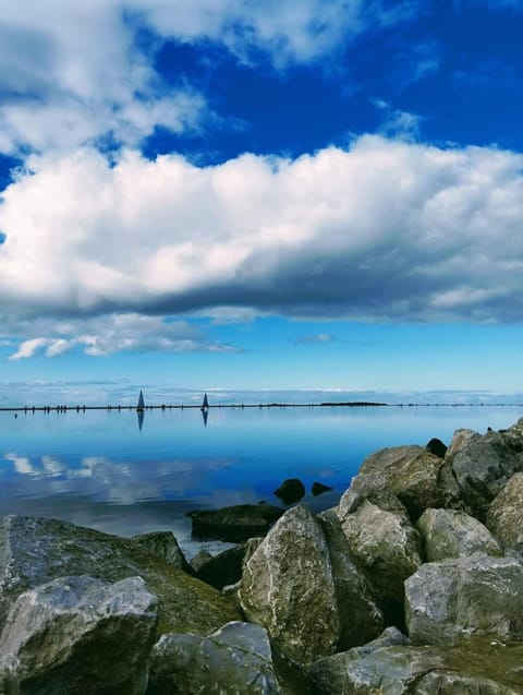 Modern Town Apartment with Terrace Apartment in Wirral
