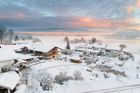 Property building, Winter