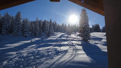Natural landscape, Winter, Skiing, View (from property/room), Balcony/Terrace