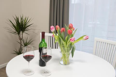 Green Hill Apartments Apartment in Lithuania