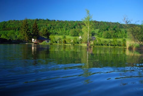 Natural landscape, Lake view