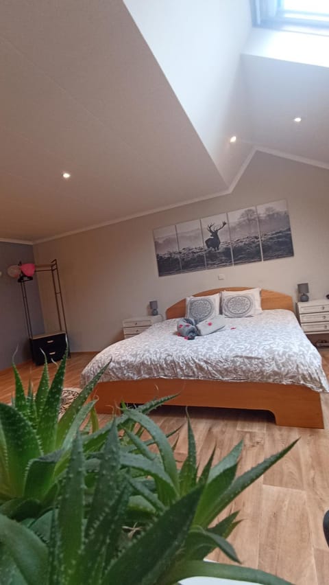 Petites-Tailles - chambre d'hôtes Bed and Breakfast in Vielsalm