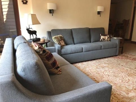 Luxurious 1BRLoft - Ski-in Ski-out Access to Beaver Creek condo Apartment in Beaver Creek