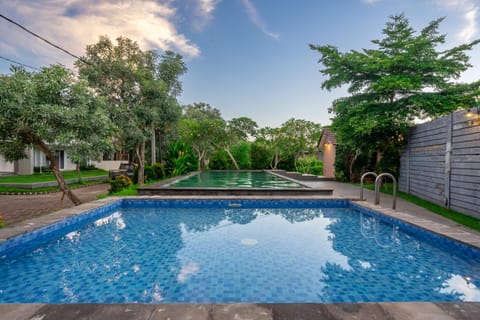 Day, Garden, Garden view, Pool view, Swimming pool