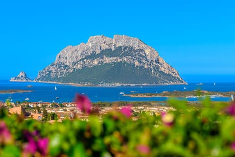 Landmark view, Sea view