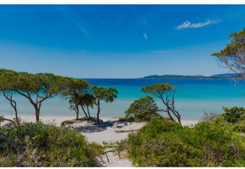 Lo Spicchio b&b Bed and Breakfast in Alghero