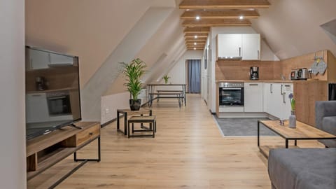 TV and multimedia, Kitchen or kitchenette, Living room, Seating area, Dining area, oven, stove