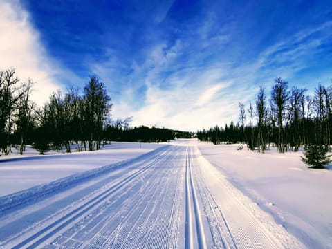 Off site, Natural landscape, Winter, Skiing