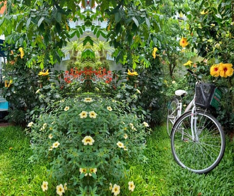 Garden, Garden view