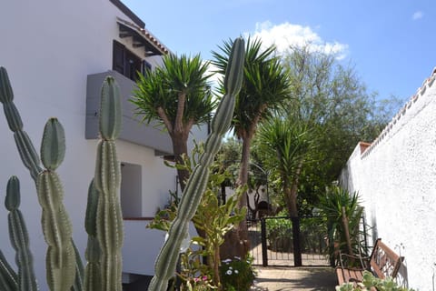 Property building, Facade/entrance, Garden