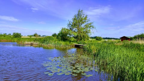 Natural landscape, Lake view, Open Air Bath