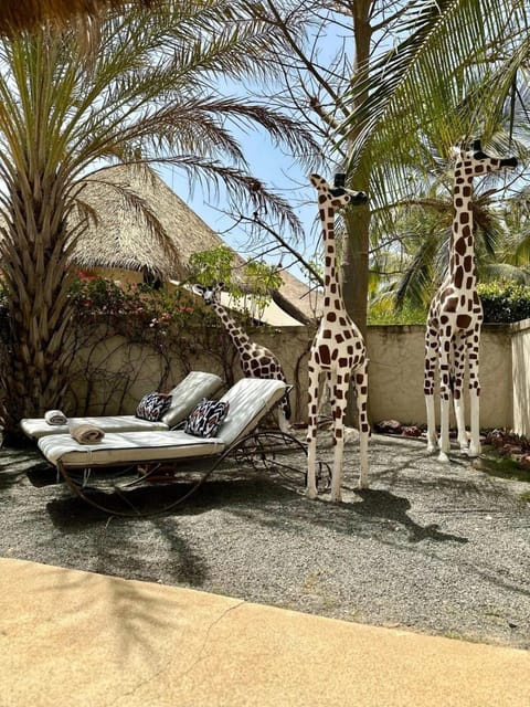 Natural landscape, Garden view, sunbed