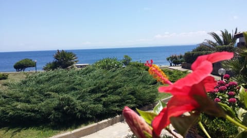 Day, Natural landscape, Garden, Sea view