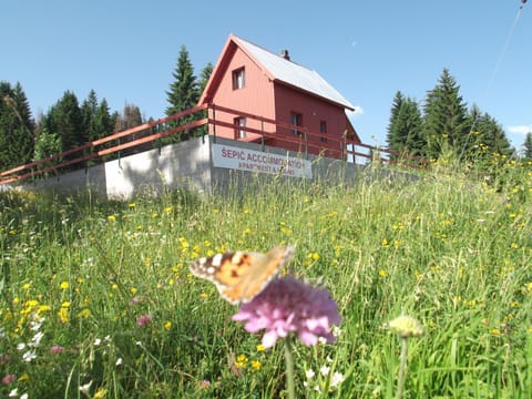 Property building, Garden