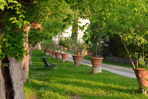 Spring, Garden