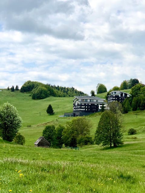 Natural landscape