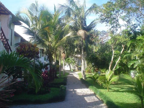 Bird's eye view, Garden, Garden view, Area and facilities