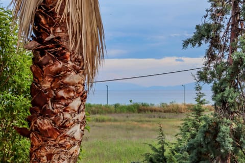 Calma Luxury Apartments #4 Sozopoli in Halkidiki Apartment in Halkidiki