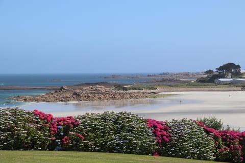Maisonnette, Résidence les gîtes de Trestel House in Trévou-Tréguignec