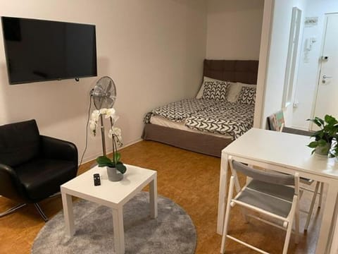 City Centre Studio Apartment in Basel